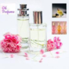 Perfume & Scents