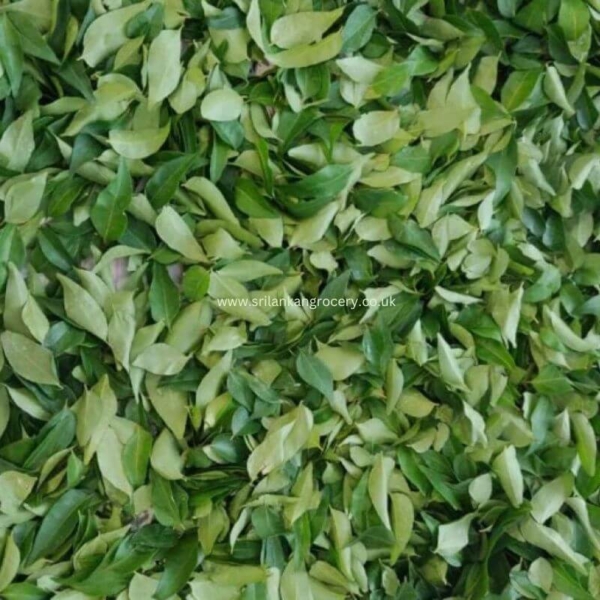 500g(1) copy